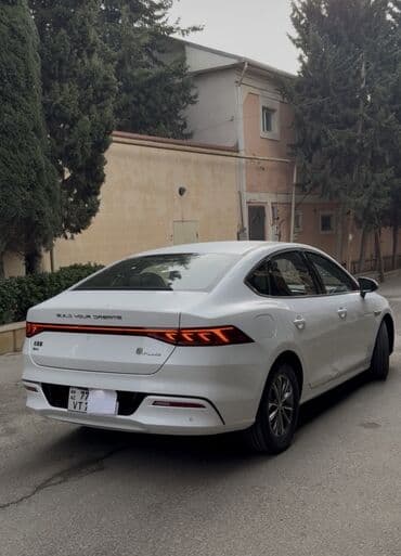 masin qaz: BYD Qin Plus DM-i sedan - Kuzov: ağ rəngli 4 qapılı sedan — 2