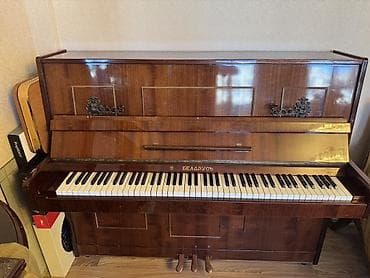 akustik gitara satisi: Piano, Belarus, Akustik, İşlənmiş, Ünvandan götürmə — 2