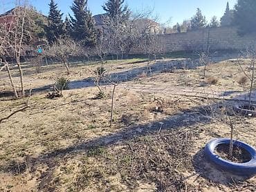 15 sot, Tikinti, Maklerlər narahat etməsin, Kupça (Çıxarış)