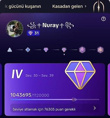 Aktiv TikTok Səhifəsi Satılır 31 LeveL. (15K takipci 300+K beyenme)