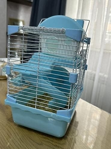 Heyvanlar üçün mallar: Hamster üçün iki mərtəbəli qəfəs – mavi/ağ Icinde bir eded hemster — 4