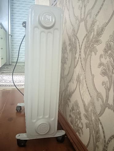 radiatorlarin qiymeti: Tam iwlek veziyyetdedir hec bir problemi yoxdur qiymet sondur — 3