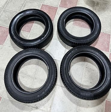 17 disk: Шина Pirelli 205 / 55 / R 16 — 1