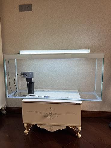 akva ayaqabılar: Şüşə akvarium dəsti - Geniş, düzbucaqlı şüşə akvarium korpusu - — 1