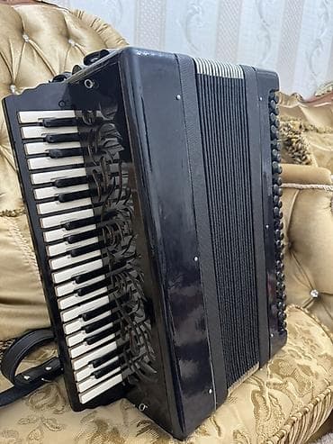Akustik Akkordeon, Yeni