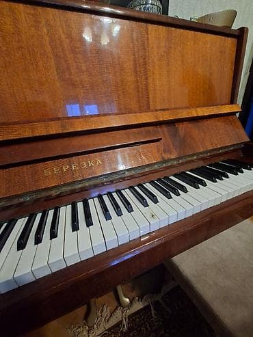 Клавишные инструменты: Təcili, yaxşı vəziyyətdədi — 2