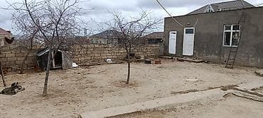 ucar rayonu: Tikinti, Kupça (Çıxarış) — 5