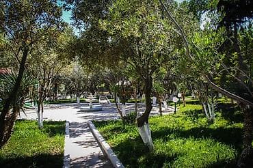 gence evler kiraye: Salyan şosse 14 km — 10