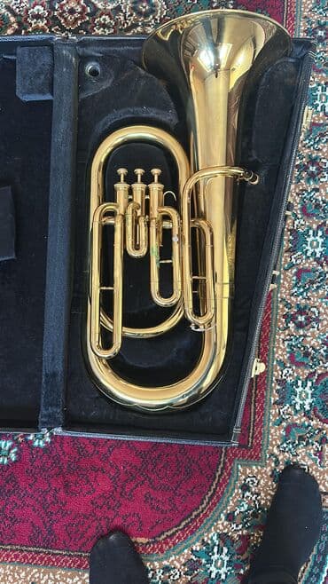 Milli musiqi alətləri: Trubalar — 2