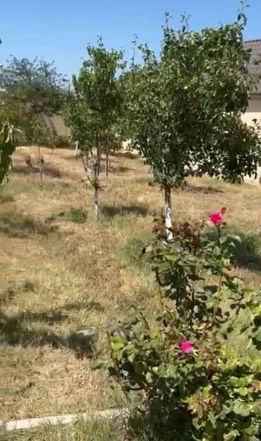 xacmazda torpaq satilir 2021: 16 sot, Tikinti, Makler, Kupça (Çıxarış) — 4