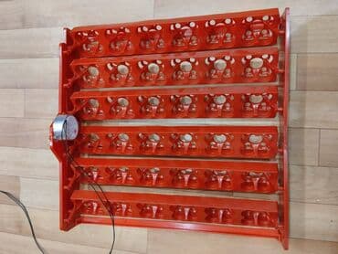 inkubator latoku: İnkubator üçün matorlu latoklar 36 toyuq yumurtasi 144 bildirçin — 2