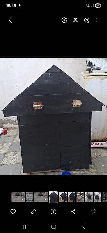 Pişiklər: Yuvalar — 1