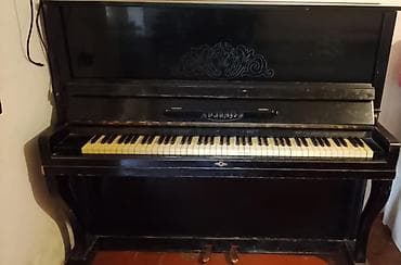 dynacord 2: Piano, Belarus, Akustik, İşlənmiş, Ünvandan götürmə — 2