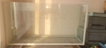 Şüşə akvarium - Ölçü: təxminən uzun 90 sm, hündür 50–55 sm, dərinlik