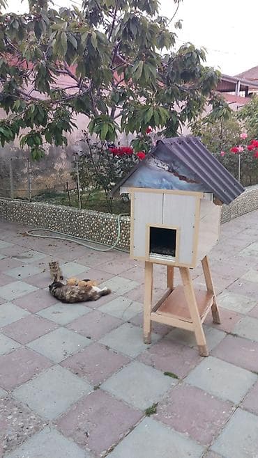 Məhsul: Açıq havada istifadə üçün pişik evi Təsvir: Qapalı pişik evi