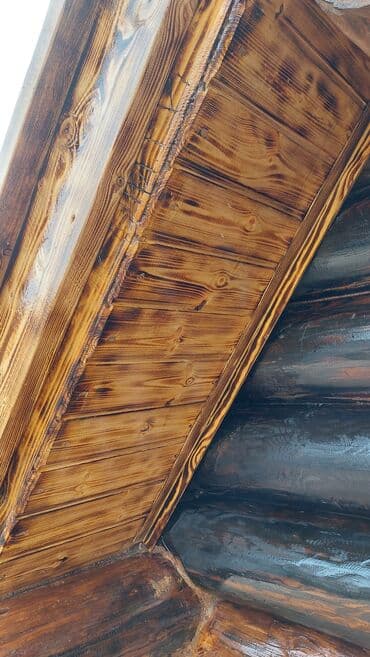 выведение новых пород животных: Satılır istəyən zəng etsin — 4