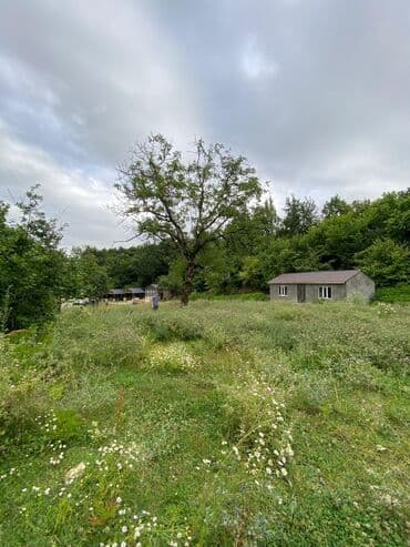 memar ecemi kiraye ev: Tikinti, Mülkiyyətçi — 5