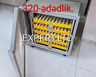 300 yumurta, Çin, Fabrik istehsalı, Tam avtomat, Bütün növ quşlaq üçün