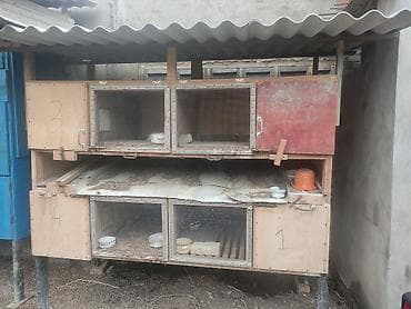 Satırm kredit mümkündür dəyişmək olar