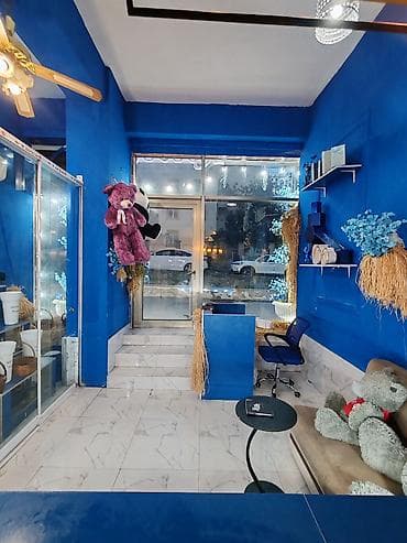 qızılgul satışı: 🌹 Blue Roses gül salonu satılır – tam hazır, işlək biznes! 📩 Əlaqə — 7