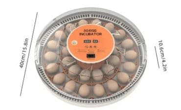 Volkswagen: Китай, Полностью автоматическая — 5