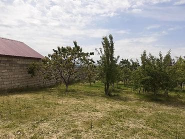 lerikde torpaq satilir: 6 sot, Tikinti, Maklerlər narahat etməsin, Kupça (Çıxarış) — 9