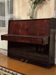 Pianolar: Digər musiqi alətləri — 1