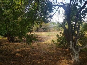 ferma torpaq: 24 sot, Tikinti, Makler, Kupça (Çıxarış) — 8