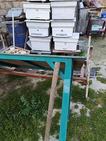 10 eded arı yuvası satlır. Yaxşı vezyetdedi. Qiymeti razlaşma yolyla