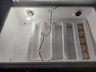 mini evler: Ev tipli inkubator – köpük (penoplast) korpuslu, elektriklə işləyən — 3