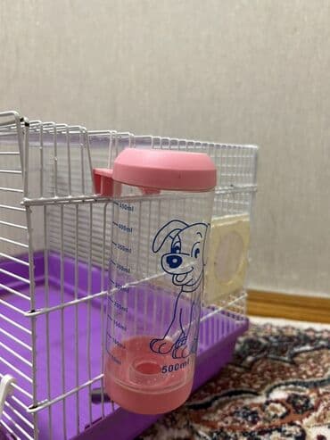 Dovşanlar: Derslerme göre baxa bilmirem satıram erkekdı 6 aylıqdı üsdünde su qabı — 4