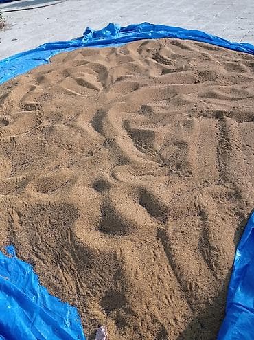 3d divar kagizlari: Məhsul: Yonca toxumu - Ümumi miqdar: 250 kq - Təmizlənmiş və hazır — 7