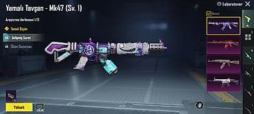 bal qoz qarisimi: PUBG Mobile hesabı – zəngin kolleksiya və laboratoriya yüksəltmələri — 5