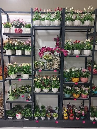 Dibçəkdə dekorotiv güllər