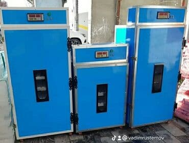 İnkubatorlar: İnkubator inqubator istenilen ölçüde tam afdamat yığıram bütün növ — 3