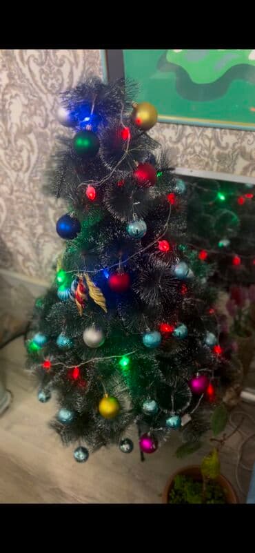 avokado ağacı: Hundurluk 1.5m. Elage wp — 3