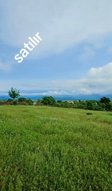 13 sot, Tikinti, Mülkiyyətçi, Kupça (Çıxarış)