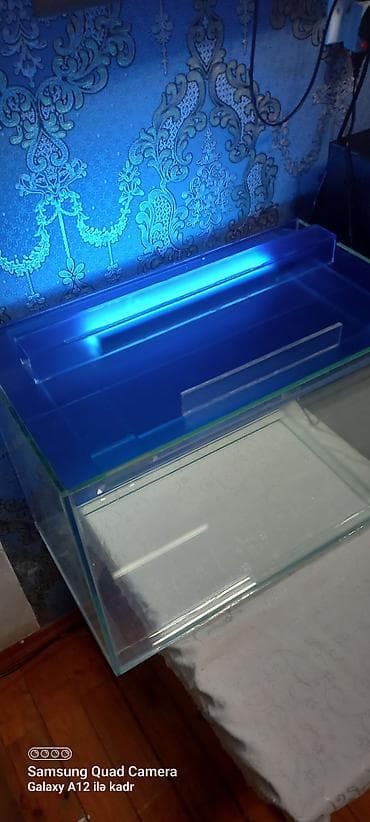 akvarium yumru: Salam istənilən ölçüdə akvarium ən azı 30 litrdən yuxarı münasib — 2