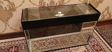 Digər heyvanlar: Dördbucaq akvarium, Boş, 50 l, Ünvandan götürmə — 7