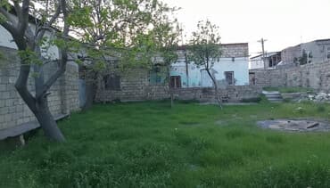 4 sot, Tikinti, Mülkiyyətçi, Kupça (Çıxarış)