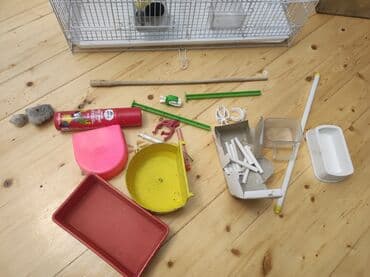 quş yemi: Quş qəfəsi boyuk yeni kimidir. 60/40/40 uzerinde aksesuarlari verilir — 3