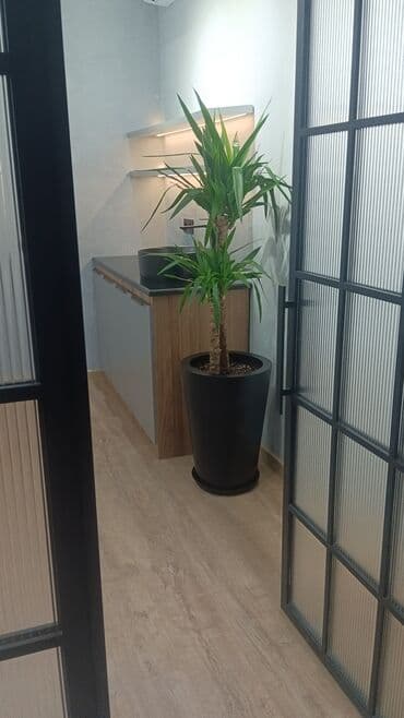 саженцы малины тарус: Qazon landşaft #qazon #torf #torf250litrlik Ekolayf #ekolayf balaken — 6