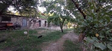 продажа и аренда домов: 5 sot, Tikinti, Mülkiyyətçi, Kupça (Çıxarış) — 2