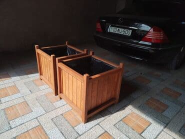 Çöl bitkiləri: Taxta dibçək. rəng; Armut. material; Taxta. bağınıza və ya — 5