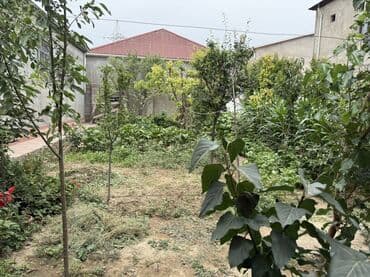 bahar qəsəbəsində həyət evləri: Suraxanı 3 otaqlı, 115 kv. m, Orta təmir — 25