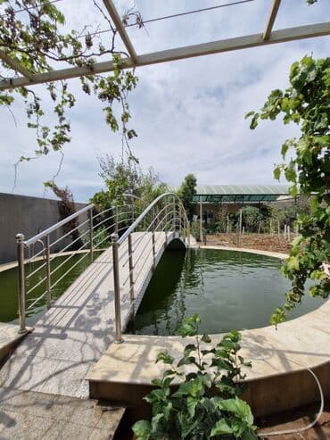 koya baliqlari: Qızıl balıq, Sülhsevər, Ünvandan götürmə — 3