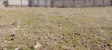 bilgəh ev: 12 sot, Mülkiyyətçi, Kupça (Çıxarış) — 3