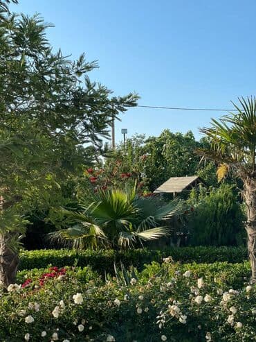 ev certiyojları: 100 kv. m, 2 otaqlı, Hovuzsuz — 19