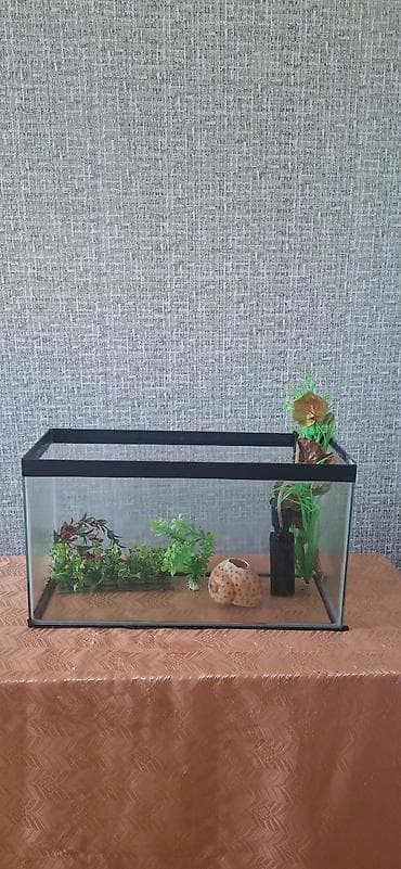 Dördbucaq akvarium, Boş, 33 l, Ünvandan götürmə