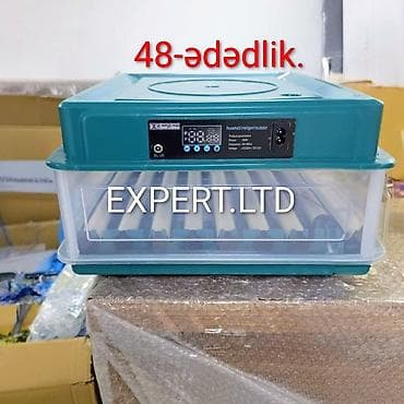 inkubator avadanlıqları: Çin, Fabrik istehsalı, Tam avtomat, Bütün növ quşlaq üçün — 5
